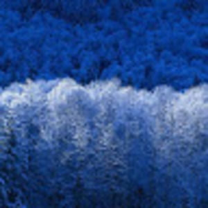 Meet your Posher, Sumira